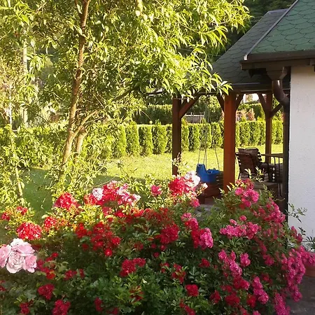 Jovanovic Lodge
