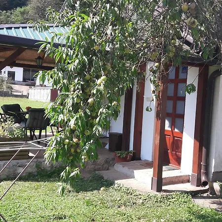 Jovanovic Lodge Perucac